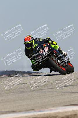 media/Mar-24-2025-2WTD (Mon) [[55b4b08488]]/A Group/11am (Outside Grapevine)/